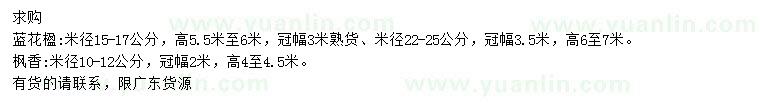 求購(gòu)米徑15-17、22-25公分藍(lán)花楹、10-12公分楓香