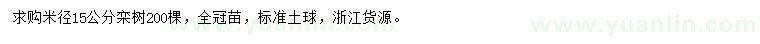 求購米徑15公分欒樹