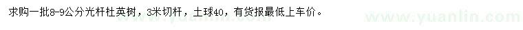 求購8-9公分杜英樹
