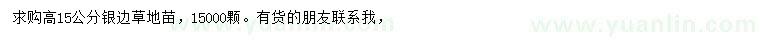 求購高15公分銀邊草