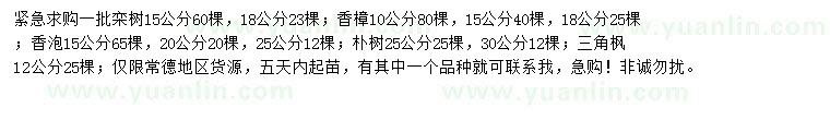 求購(gòu)欒樹、香樟、香泡等