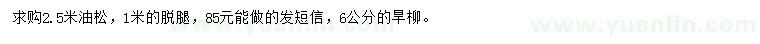 求購2.5米油松、6公分旱柳