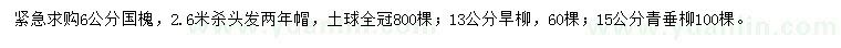 求購國槐、旱柳、青垂柳