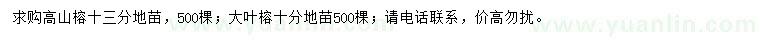 求購高山榕、大葉榕
