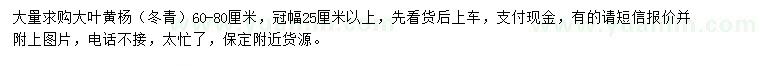 求購60-80公分大葉黃楊（冬青）