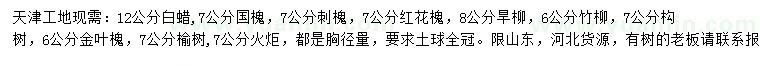 求購(gòu)白蠟、國(guó)槐、刺槐等
