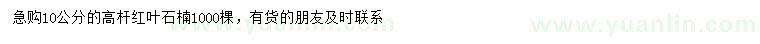 求購10公分紅葉石楠