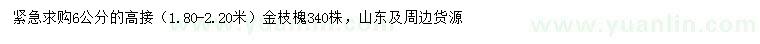 求購6公分金枝槐