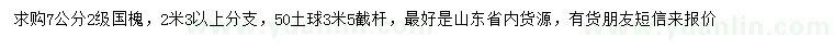 求購7公分國槐