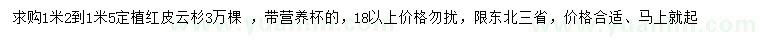 求購1.2-1.5米紅皮云杉