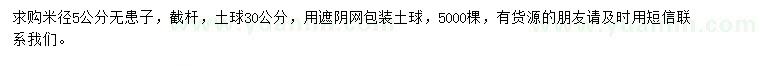 求購米徑5公分無患子