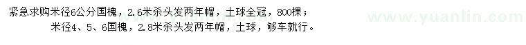 求購4、5、6公分國槐