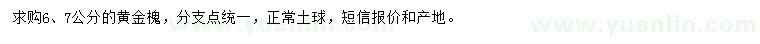 求購6、7公分黃金槐