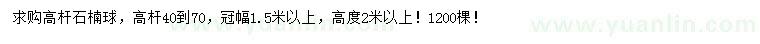 求購冠1.5米以上高桿石楠球