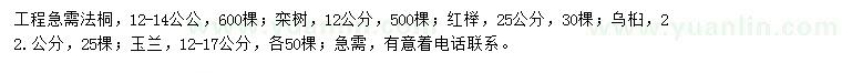 求購法桐、欒樹、紅櫸等