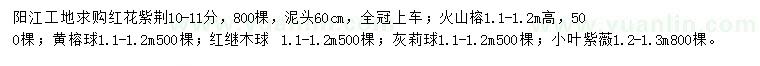 求購紅花紫荊、火山榕、黃榕球等