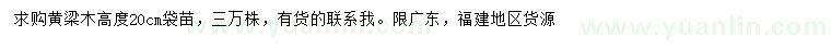 求購高20公分黃梁木袋苗