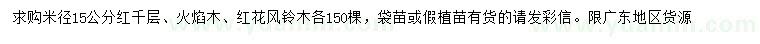 求購(gòu)紅千層、火焰木、紅花風(fēng)鈴木