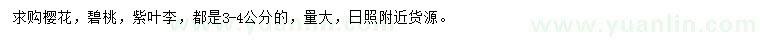求購櫻花、碧桃、紫葉李