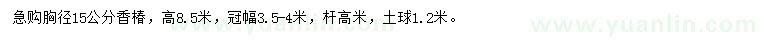 求購胸徑15公分香椿