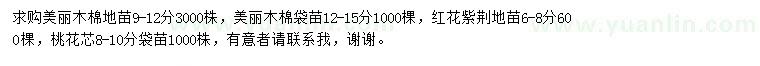 求購美麗木棉、紅花紫荊、桃花芯