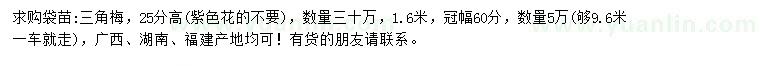 求購高25公分三角梅