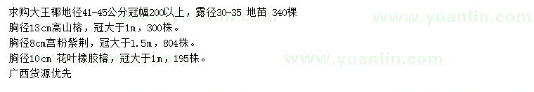 求購大王椰、高山榕、宮粉紫荊等