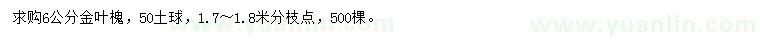 求購6公分金葉槐