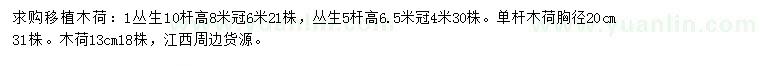 求購叢生木荷、胸徑13、20公分木荷