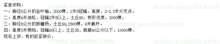求購金葉榆、油松、新疆楊等