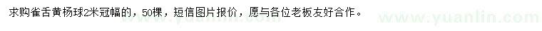 求購冠2米雀舌黃楊球