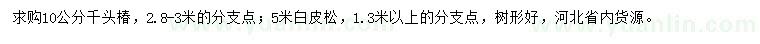 求購10公分千頭椿、5米白皮松