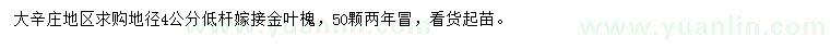 求購地徑4公分金葉槐