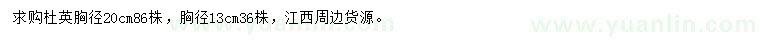 求購胸徑13、20公分杜英