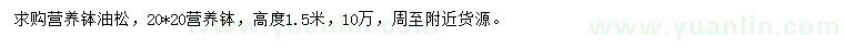 求購(gòu)高1.5米營(yíng)養(yǎng)缽油松
