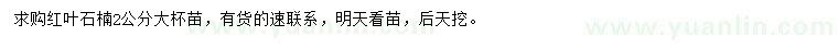 求購2公分紅葉石楠
