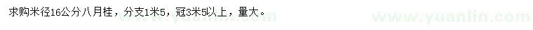 求購米徑16公分八月桂