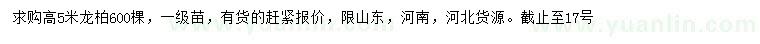 求購高5米龍柏