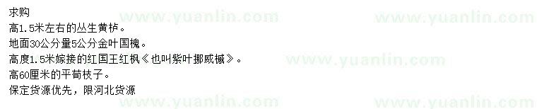 求購黃櫨、金葉國槐、紅國王紅楓等
