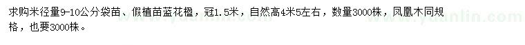 求購(gòu)米徑量9-10公分藍(lán)花楹、鳳凰木