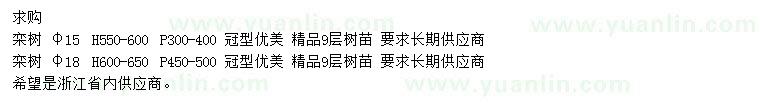 求購(gòu)胸徑15、18公分欒樹