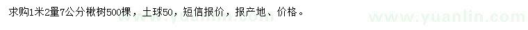 求購1.2米量7公分楸樹