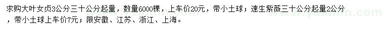 求購大葉女貞、速生紫薇