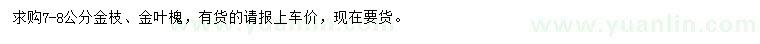 求購(gòu)7-8公分金枝、金葉槐