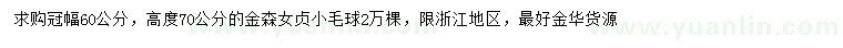 求購高70公分金森女貞小毛球