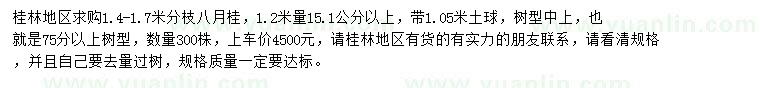 求購1.2米量15.1公分以上八月桂