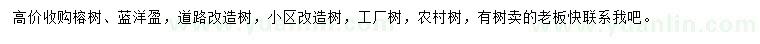 求購榕樹、藍洋盈