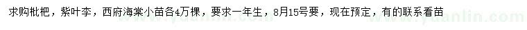 求購枇杷、紫葉李、西府海棠