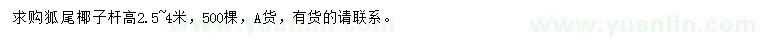 求購桿高2.5-4米狐尾椰子