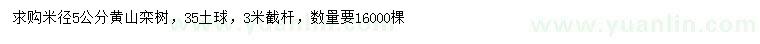 求購米徑5公分黃山欒樹